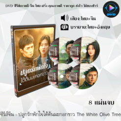 DVD ซีรีส์จีน ปลูกรักพักใจใต้ต้นมะกอกขาว The White Olive Tree : 8 แผ่นจบ (พากย์ไทย+ซับไทย)