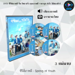 DVD ซีรีส์เกาหลี Spring of Youth : 3 แผ่นจบ (ซับไทย)